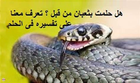 تفسير الثعبان في المنام