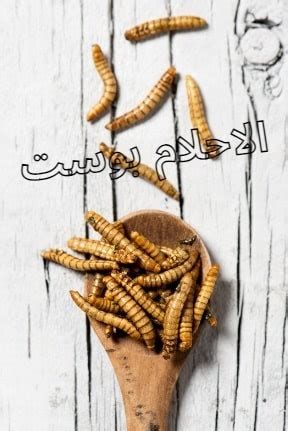 تفسير الدود في الحلم للبنت العزباء الغير متزوجه