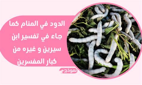 تفسير الدود في حلم الحامل