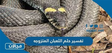 تفسير الثعبان في المنام