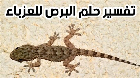 تفسير السحر في المنام للعزباء و المتزوجه و الحامل