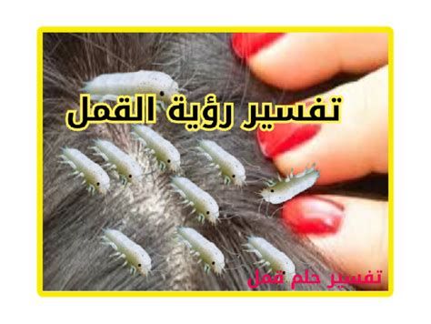 تفسير البيع و الشراء في المنام رؤية بيع و شراء في الحلم