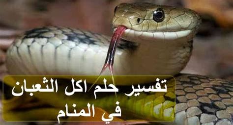 تفسير اكل لحم الافعى في المنام تناول الثعبان في الحلم