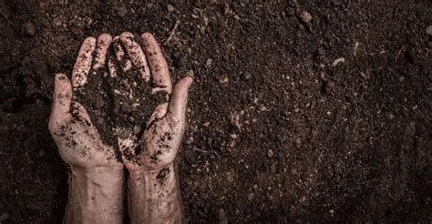 تفسير التراب في الحلم المشي على التراب في المنام