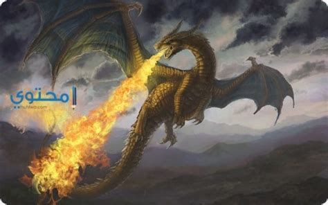 تفسير التنين في الحلم رؤية تنين في المنام