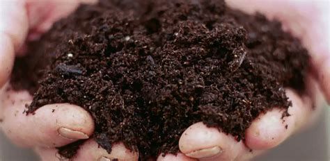 تفسير التراب في الحلم المشي على التراب في المنام