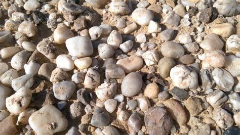 تفسير اكل الحجارة في المنام اكل الحصى في الحلم