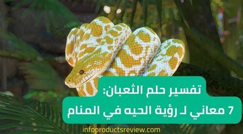 تفسير اكل لحم الافعى في المنام لابن سيرين