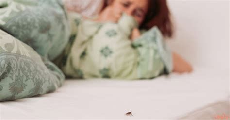 تفسير الجلطة في المنام ورمز حلم الإصابة بالجلطة