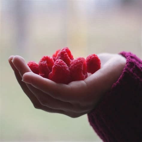 تفسير التوت في الحلم رؤية أكل توت في المنام