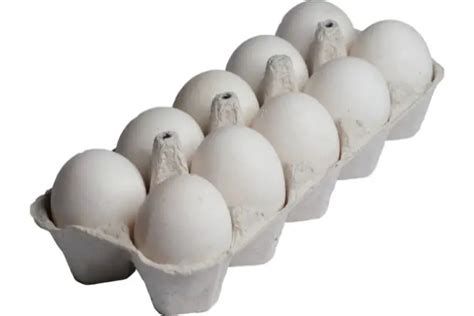 تفسير البيض في الحلم للبنت العزباء للمتزوجه للخامل