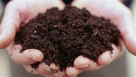 تفسير التراب في الحلم المشي على التراب في المنام