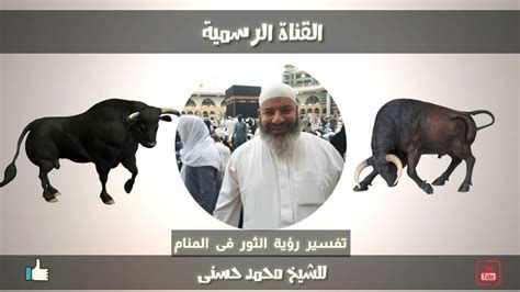 تفسير الثور في المنام وحلم هجوم الثور الهائج