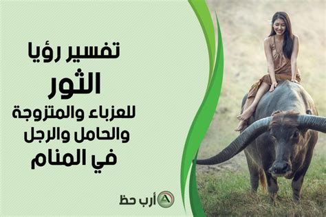 تفسير البقره في الحلم و رؤية البقر في المنام لابن سيرين