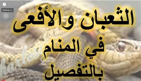 تفسير اكل لحم الافعى في المنام لابن سيرين