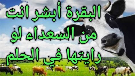 تفسير البقره في الحلم و رؤية البقر في المنام لابن سيرين