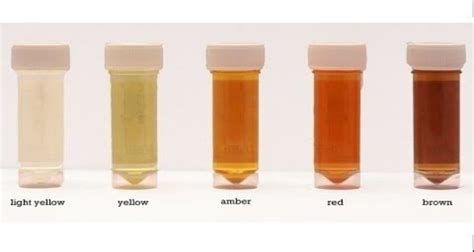 تفسير التبول في الحلم رؤيا البول في المنام لابن سيرين