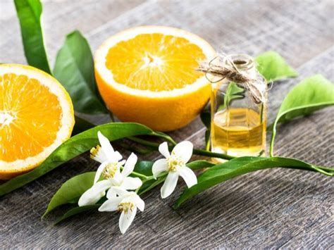 الفرق بين ماء الورد وماء الزهر وماء الكادي