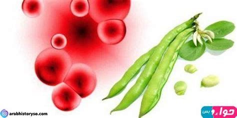 الفاكهة الممنوعة لمرضى أنيميا الفول