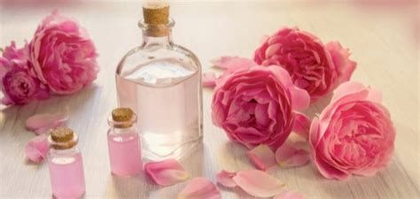 الفرق بين ماء الورد وماء الزهر وماء الكادي