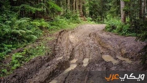 الوحل في المنام وتفسير حلم المشي في الوحل بالتفصيل