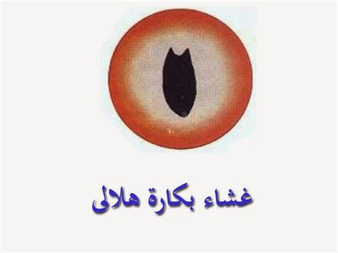 الغشاء الهلالي أين تقع فتحة الحيض