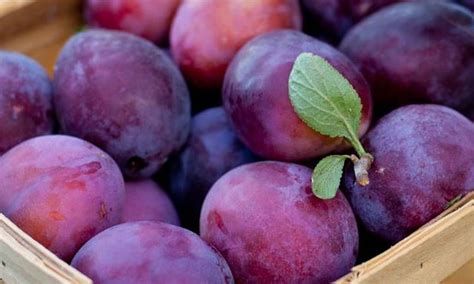 الفاكهة المسموحة لمرضى السكر