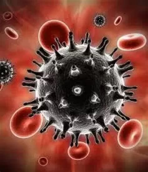 العرق والحمل