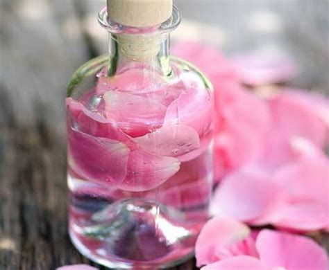 الفرق بين ماء الورد وماء الزهر وماء الكادي