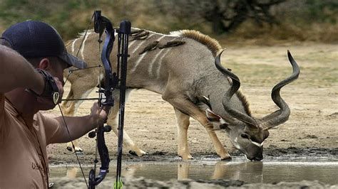 الصيد في المنام وتفسير رؤية الصياد في الحلم بالتفصيل