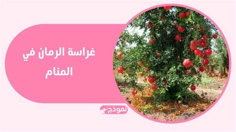 الزرع في المنام وتفسير حلم الزراعة بالتفصيل