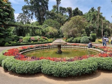 الحديقة النباتية الملكية في بوتان؛ تعرف على أول مستودع نباتي في الدولة وأبرز أنشطتها