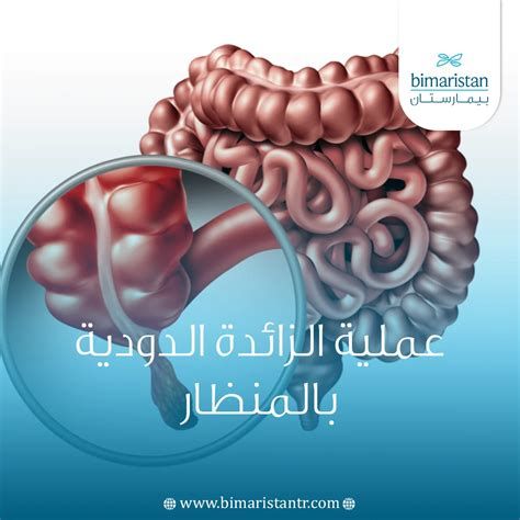 الزايده في انهي جنب