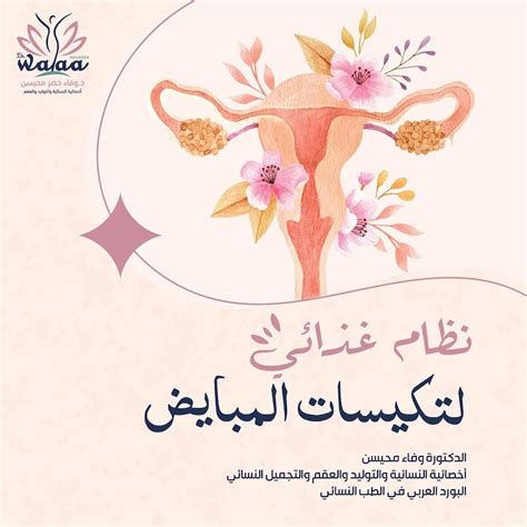 الأطعمة الممنوعة لمرضى تكيس المبايض