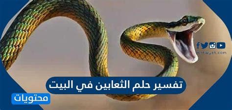 الثعبان في المنام لابن سيرين