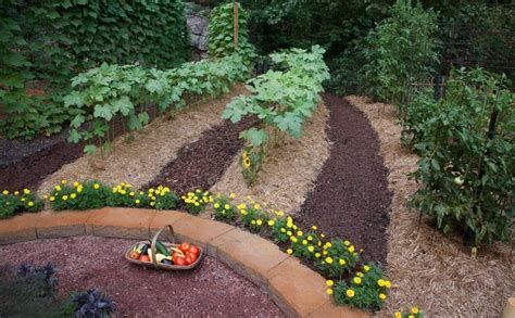 الزرع في المنام وتفسير حلم الزراعة بالتفصيل