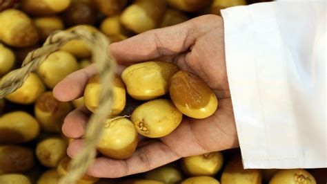 الرطب في المنام