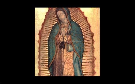 السياحة في سوكري؛ تعرف إلى أجمل المعالم السياحية في المدينة الخيالية