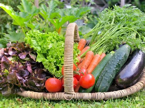 الخضرة في المنام