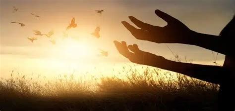 الرموز التي تدل على الفرج في المنام