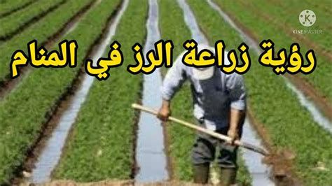 الزرع في المنام وتفسير حلم الزراعة بالتفصيل