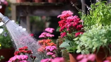 الزرع في المنام وتفسير حلم الزراعة بالتفصيل