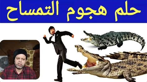 التمساح في المنام وتفسير رؤية التماسيح في الحلم بالتفصيل