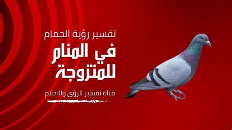 الحمَّام في المنام وتفسير رؤية الحمَّامات في الحلم بالتفصيل