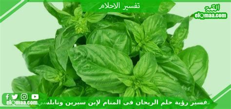 الريحان في المنام لابن سيرين و النابلسي