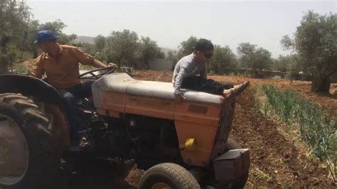 الزرع في المنام وتفسير حلم الزراعة بالتفصيل