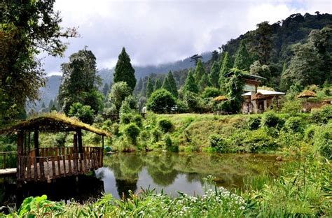 الحديقة النباتية الملكية في بوتان؛ تعرف على أول مستودع نباتي في الدولة وأبرز أنشطتها