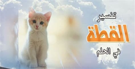 السحاب في المنام وتفسير رؤية الغيوم بالتفصيل