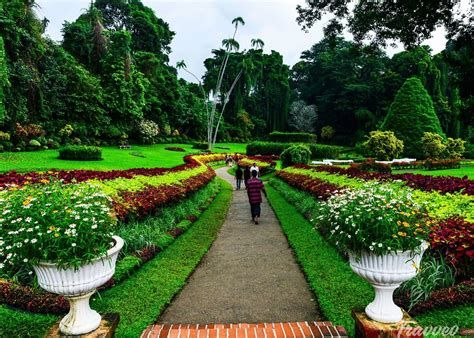 الحديقة النباتية الملكية في بوتان؛ تعرف على أول مستودع نباتي في الدولة وأبرز أنشطتها