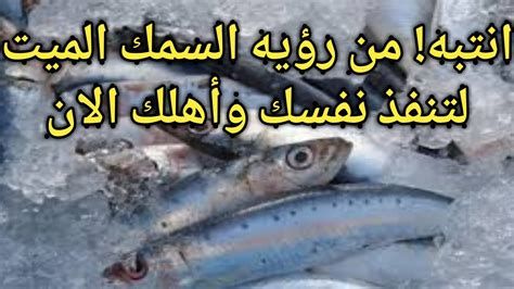 السمك الميت في المنام